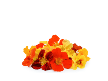 Edible Flowers