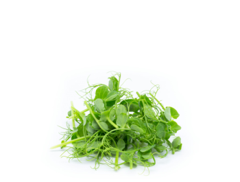 Microgreens