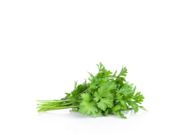 Fresh Parsley