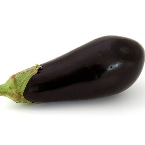 Eggplant 96