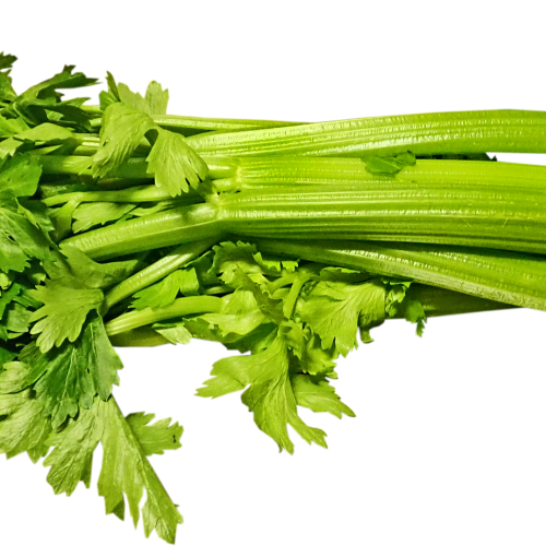Celery 87