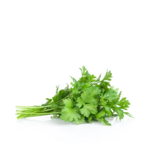 Fresh Parsley 1217