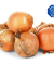 Onion