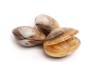 Clams 1072