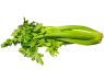 Celery 87