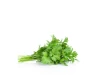 Fresh Parsley 1217